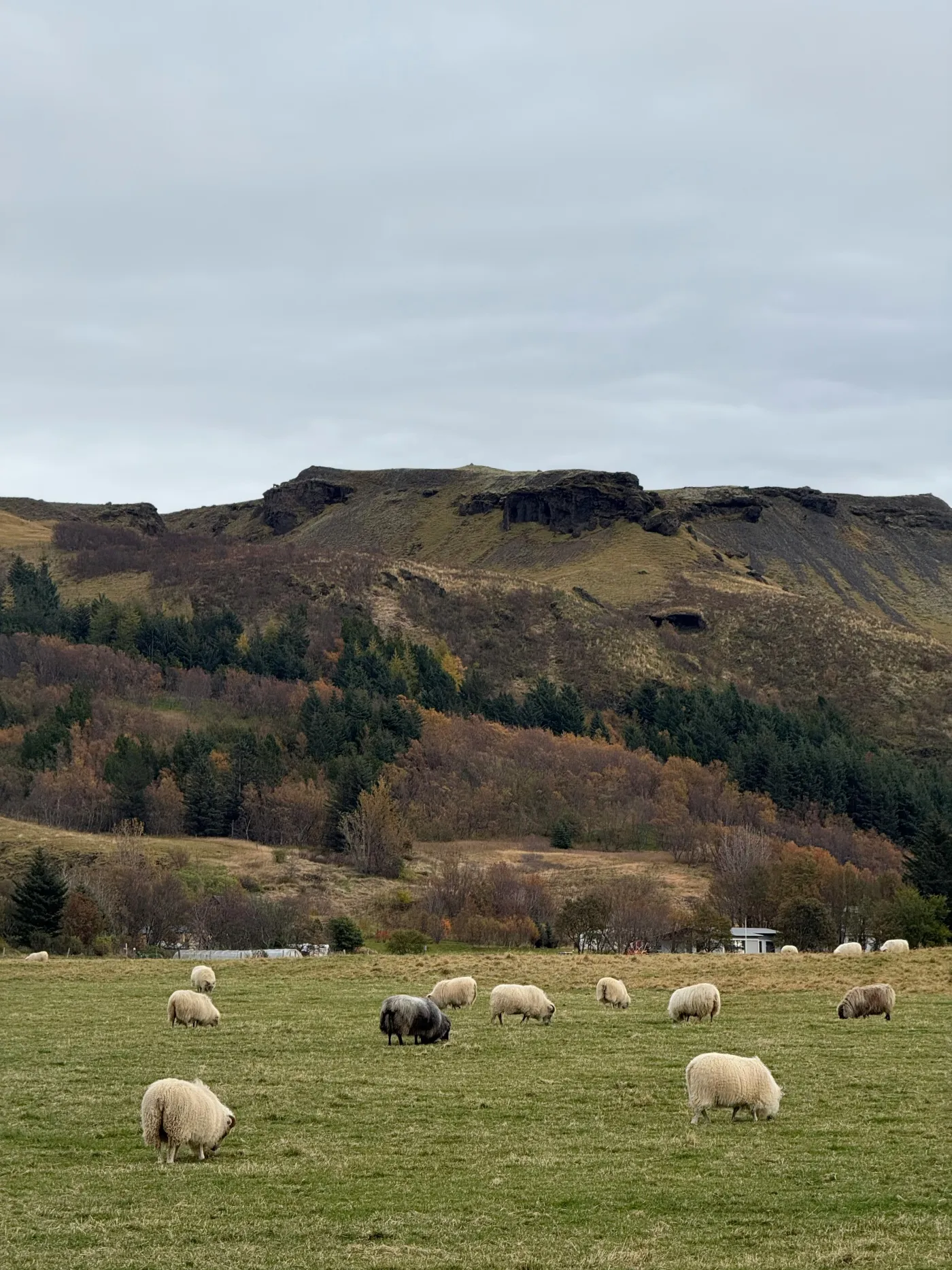 Landschaft in Island